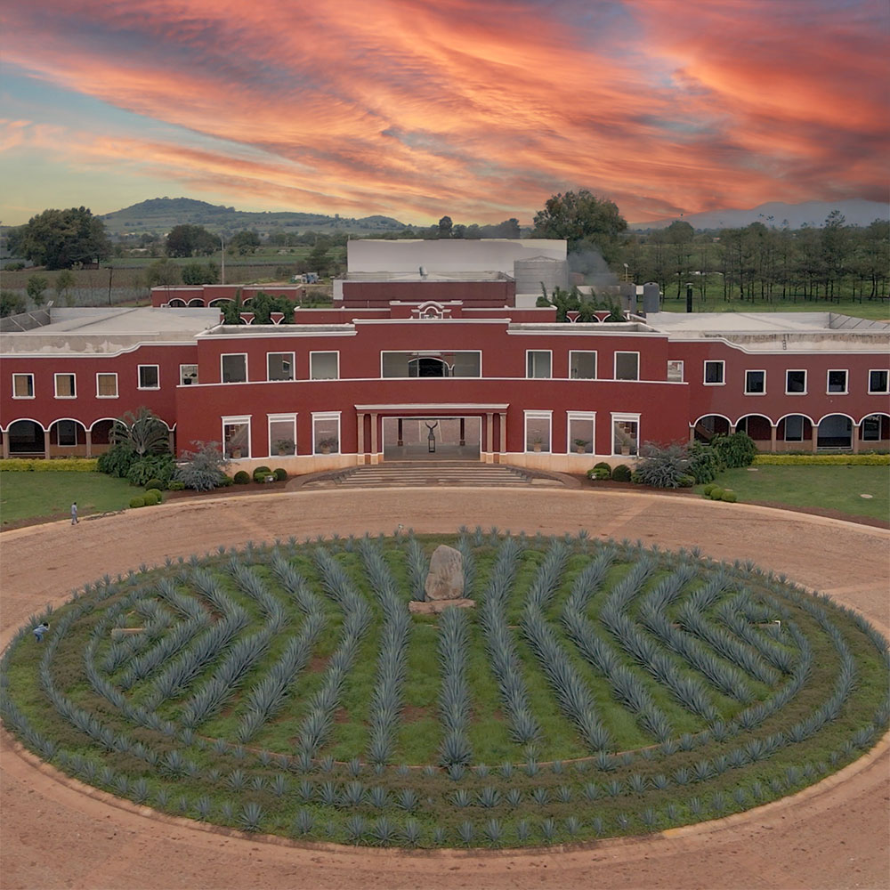 Giambanco Reserve Tequila